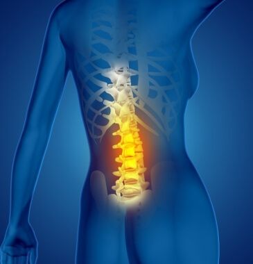 Alinha a coluna vertebral